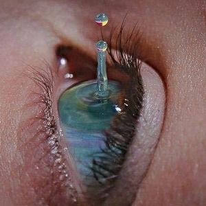 Meet your Posher, Dorothy